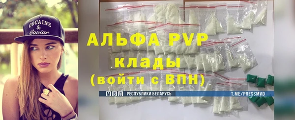 стаф Осташков