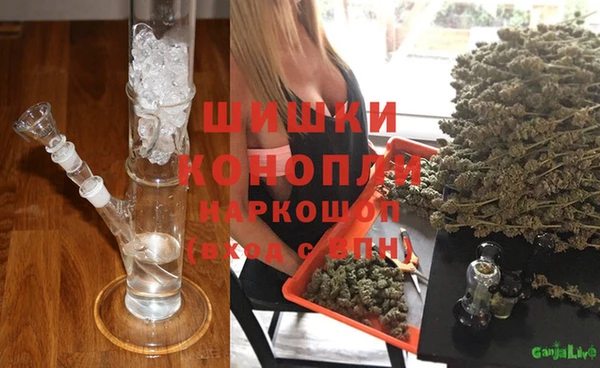 амф Осинники