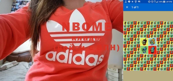 стаф Осташков