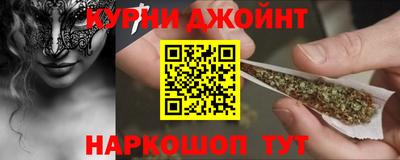 шишки Заволжье