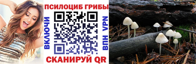 omg вход  Переславль-Залесский  Галлюциногенные грибы Magic Shrooms 