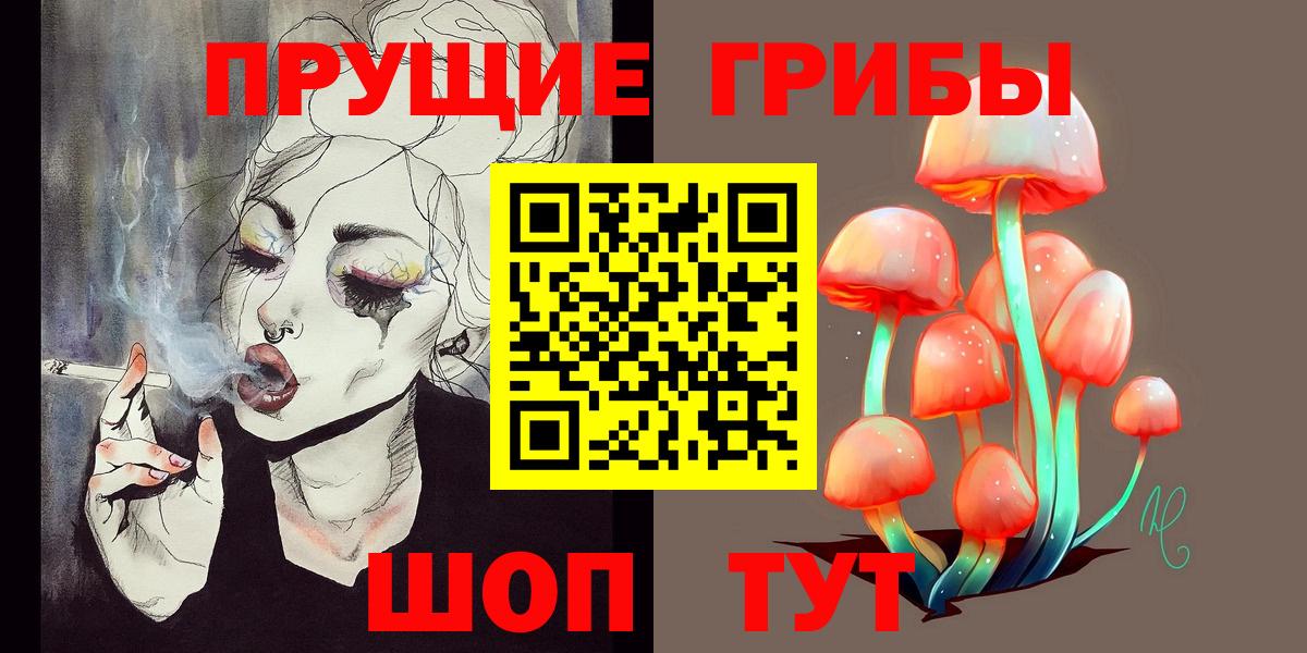Псилоцибиновые грибы прущие грибы Переславль-Залесский