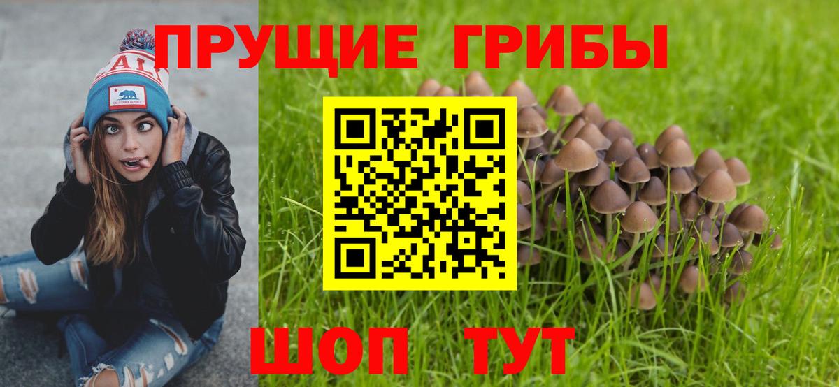 Псилоцибиновые грибы Magic Shrooms  Переславль-Залесский  Галлюциногенные грибы мухоморы 