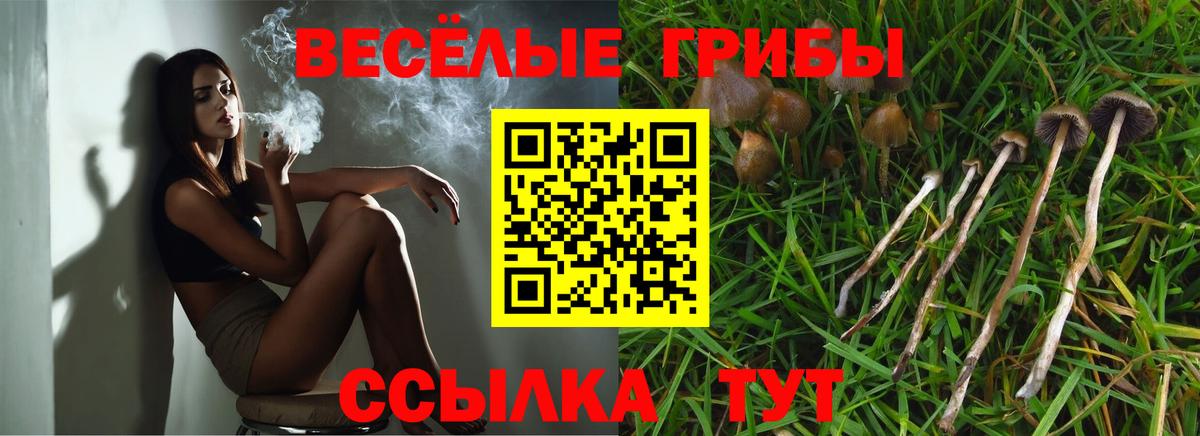 Переславль-Залесский  Галлюциногенные грибы Cubensis  Вход с VPN 